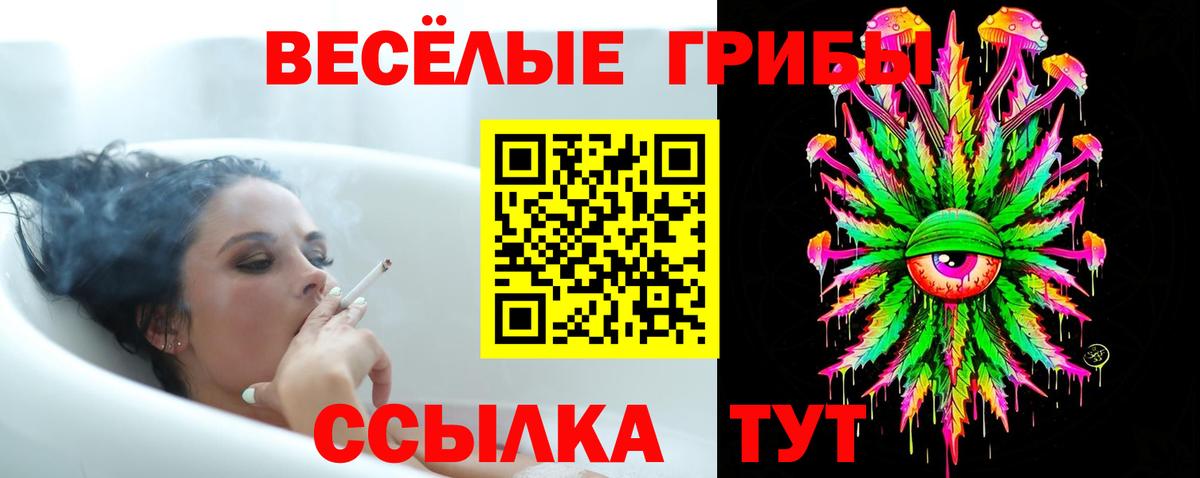 Галлюциногенные грибы MAGIC MUSHROOMS Лысьва